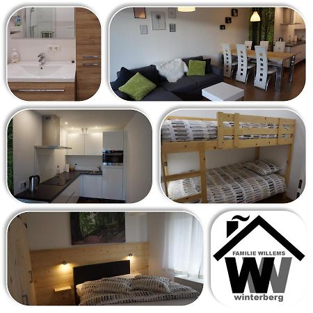 Appartement Familie Willems Winterberg 2 Εξωτερικό φωτογραφία