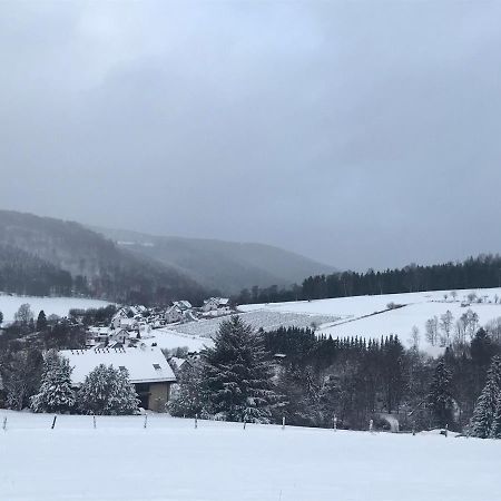 Appartement Familie Willems Winterberg 2 Εξωτερικό φωτογραφία
