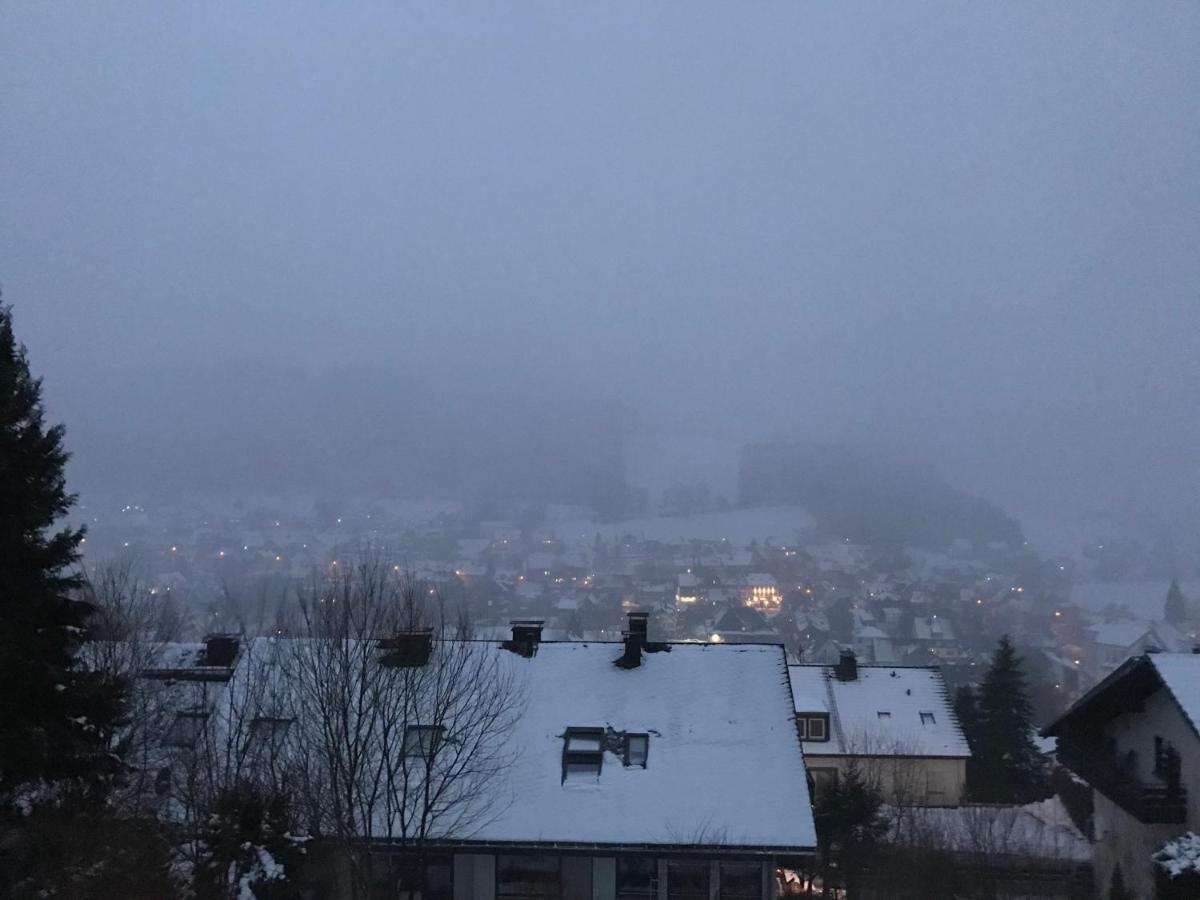 Appartement Familie Willems Winterberg 2 Εξωτερικό φωτογραφία