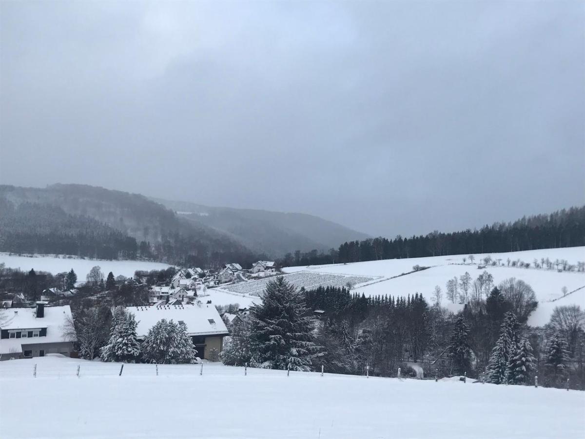 Appartement Familie Willems Winterberg 2 Εξωτερικό φωτογραφία