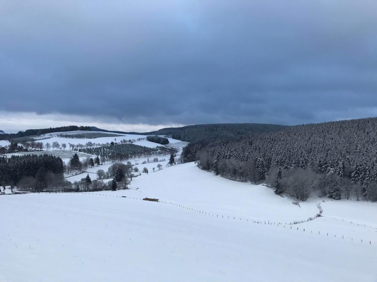 Appartement Familie Willems Winterberg 2 Εξωτερικό φωτογραφία